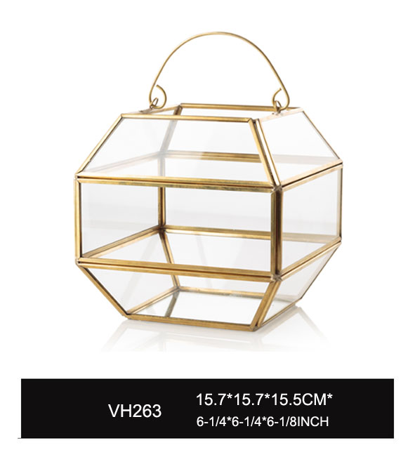 VH263