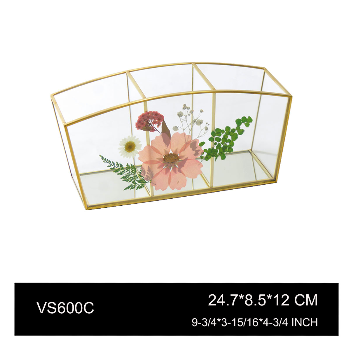 VS600C